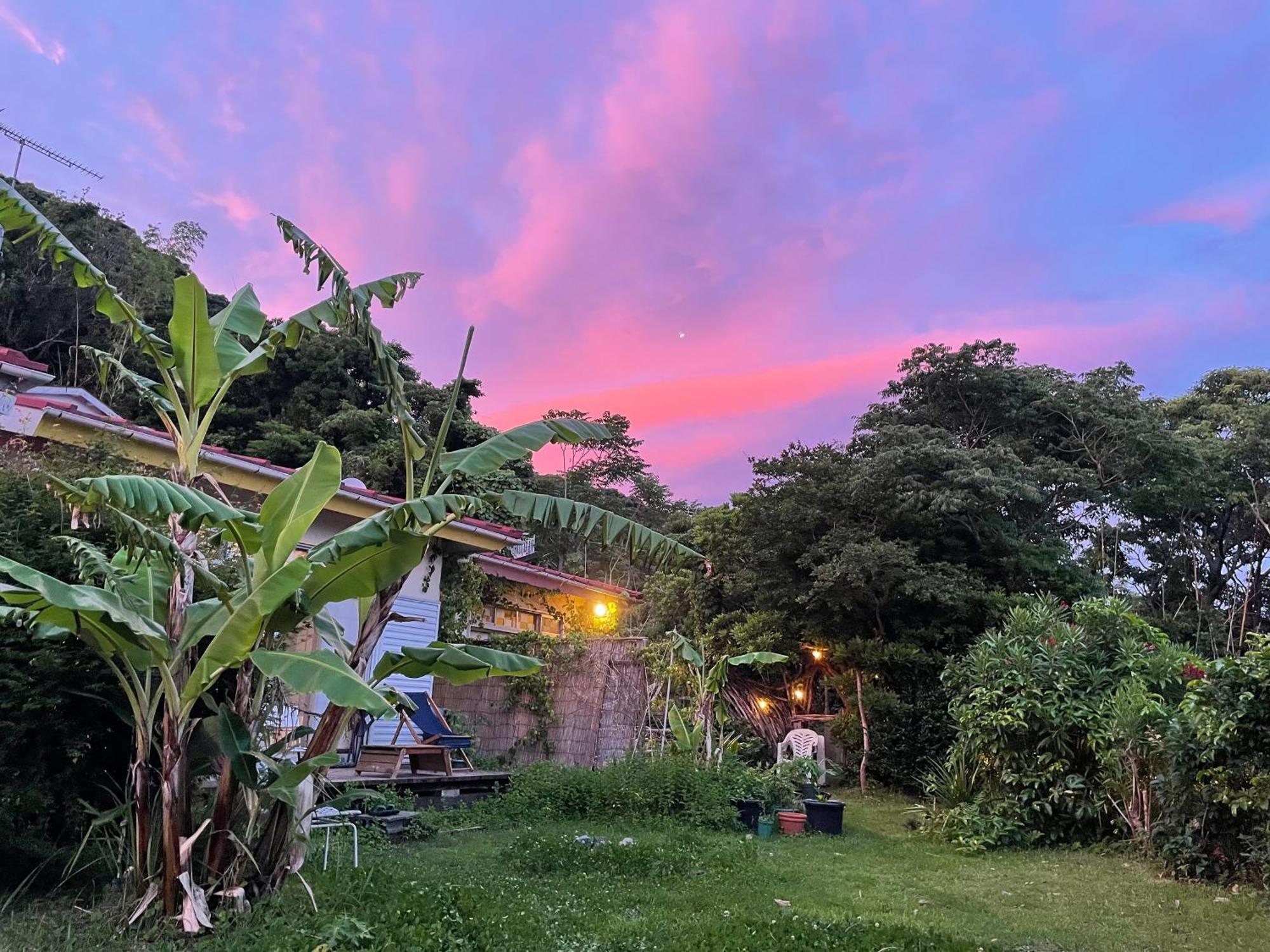 Guesthouse Papaya Shimoda  Esterno foto